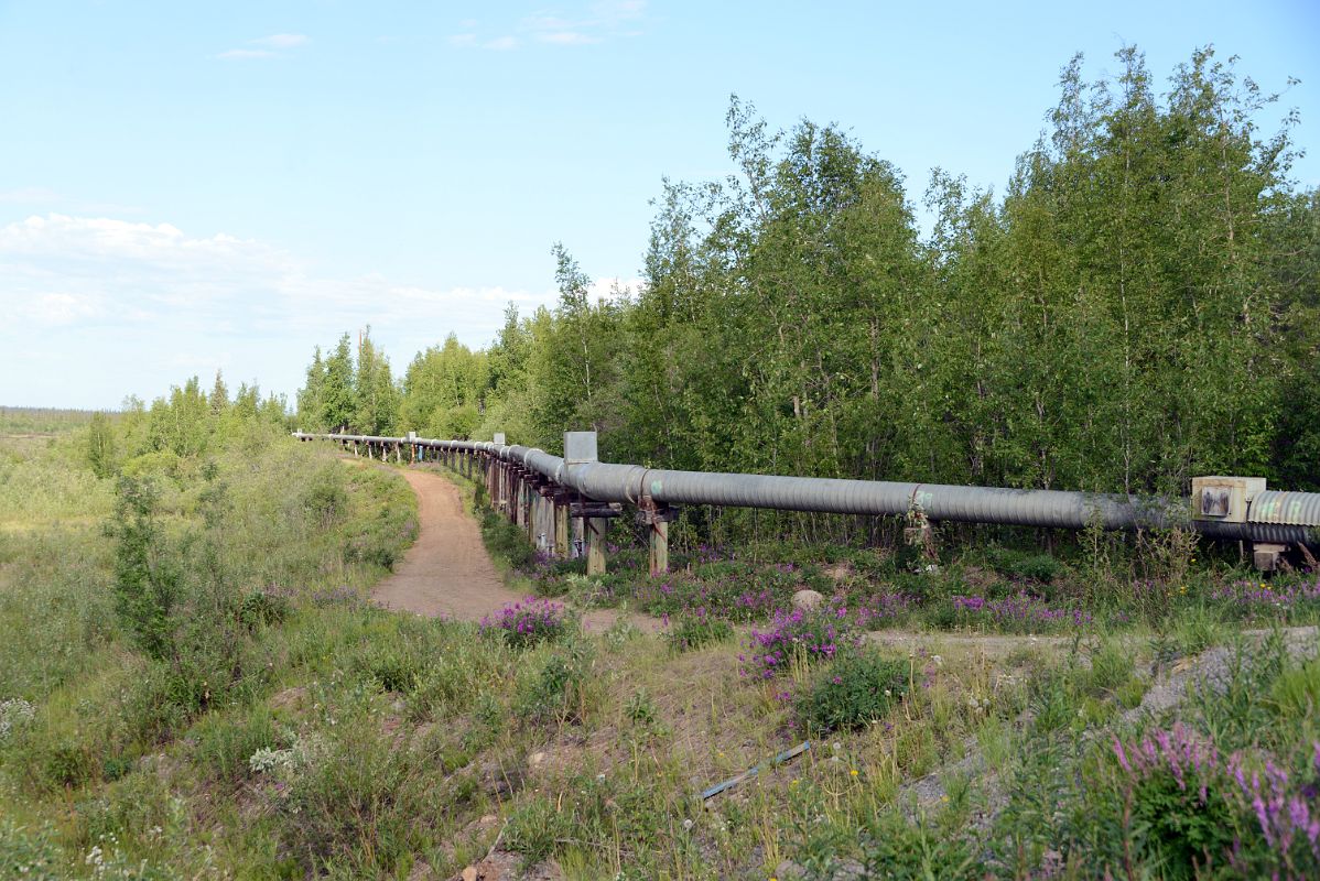 20B The Trunk Sewage Utilidor Line Go From The Town To The Lagoon In Inuvik Northwest Territories